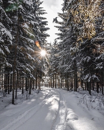 Sun Came Out Just Perfectly Between The Spruce Trees So I Took This Insane Picture  Latvia Ataiene  