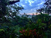 Sun rising over the Amazon rainforest - Tiputini Biodiversity Station Ecuador 
