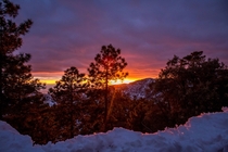 Sun setting during a snow storm on Mt Lemmon AZ 