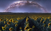 Sunflower and Milky Way composite from SE Queensland Australia