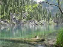 Sunken forests of Lake Kaindy Kazakhstan 