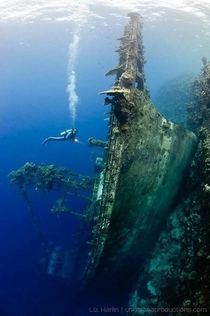 Sunken Tuna Boat Wreck near the Solomon Islands