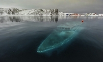 Sunken yacht in Antarctica 