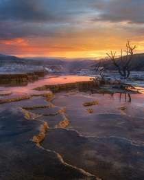 Sunrise at Mammoth Hot Springs Yellowstone National Park 