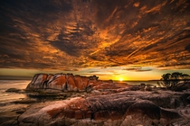 Sunrise at the Bay of Fires Tasmania 