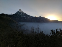 Sunrise behind Machapuchare from my campsite on the Mardi Himal Trek Nepal x
