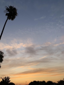 Sunrise in California