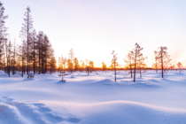 Sunrise in Lapland 