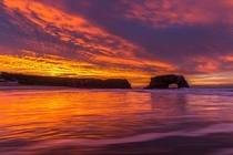 sunrise in the Bay Area yesterday was insane - Natural Bridges State Beach CA 