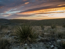 Sunrise in the Chihuahuan Desert 