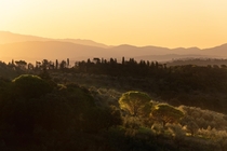 Sunrise in Tuscany 