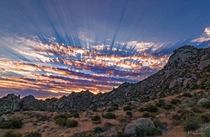 Sunrise Landscape with Sun Rays off A Hiking Trail in Scottsdale AZ  IG swvisionsnow
