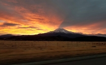 Sunrise over Mt Shasta Mt Shasta California 