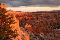 Sunrise over the Hoodoos of Bryce Canyon NP 
