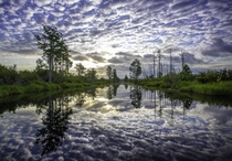 Sunrise over the Suwannee Canal in the Okefenokee National Wildlife Refuge 