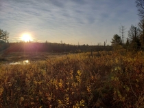 Sunrise over the wetlands - northern Ontario Canada 