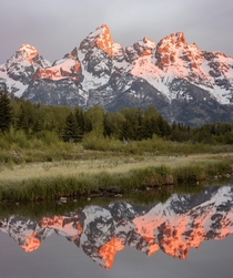 Sunrise with these pointy bois Grand Teton NP WY 