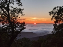Sunset at Fremont Peak State Park CA 
