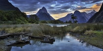 Sunset at Milford Sound Fiordland National Park New Zealand  photo by Molly Brown