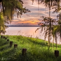 Sunset in North Florida  oc