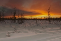 Sunset in North Pole Alaska 