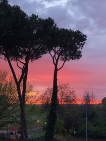 Sunset in Rome no filter