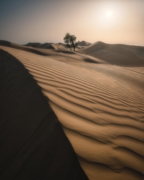 Sunset in the Al Qudra Desert 