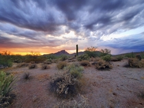 Sunset in the Arizona desert 