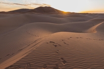 Sunset in the beautiful Sahara Desert 