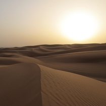 Sunset in the Dubai Desert 