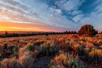 Sunset in the Oregon Desert x 