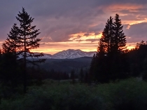Sunset in the Pike National Forest Colorado 