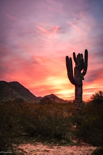 Sunset in the San Tam Mountains Arizona 