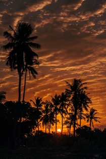 Sunset in Trincomalee Sri Lanka