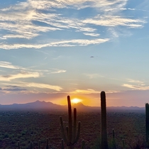 Sunset in Tucson Arizona