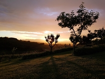 Sunset in tuscany after a short rain x