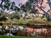 Sunset on Kororoit Creek Melbourne Australia  x  OC