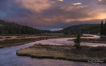 Sunset over Lewis River in Yellowstone Wyoming 