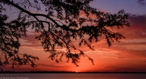 Sunset over water Reelfoot Lake in Tennessee
