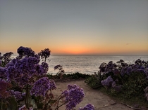Sunset - San Diego CA  x