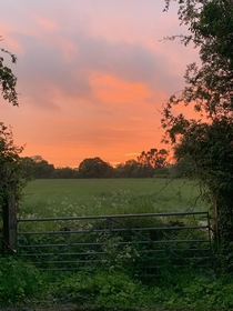 Sunset this evening in Buckinghamshire England