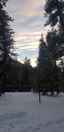 Sunset through the trees East of Lowman ID 