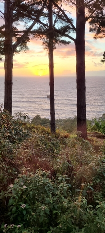 Sunsets on the west coast TrinidadCA