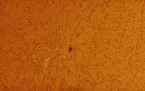 Sunspot AR 