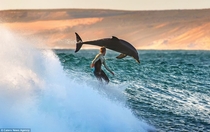 Surfer and dolphin Western Australia 