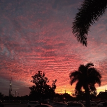 Sw Florida sunset Cape Coral