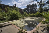 Swampy Pool amp Crazily Overgrown Backyard of an Abandoned House in Toronto 