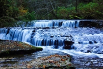 Sweet Creek Falls Mapleton OR 