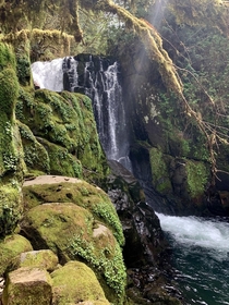 Sweet creek falls Oregon   x 