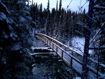 Swinging suspension bridge in the snow 